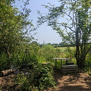 Pitch 3 - Oak Tree Island | Wytch Wood Camping & Glamping | Somerset