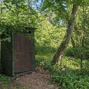Pitch 3 - Oak Tree Island | Wytch Wood Camping & Glamping | Somerset