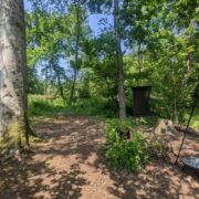 Oak Tree Island | Wytch Wood Camping & Glamping | Somerset