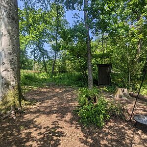 Pitch 3 - Oak Tree Island | Wytch Wood Camping & Glamping | Somerset