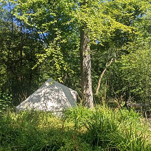 Pitch 3 - Oak Tree Island | Wytch Wood Camping & Glamping | Somerset