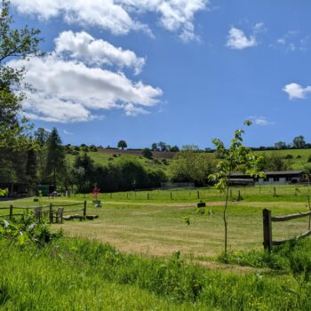 Orchard Bank | Wytch Wood Camping and Glamping | Somerset