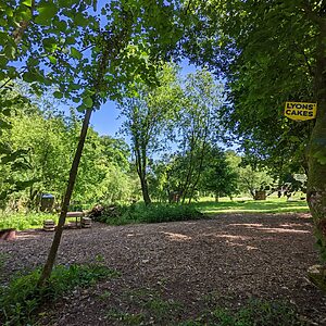 Pitch 10 - Lyons | Wytch Wood Camping and Glamping | Somerset