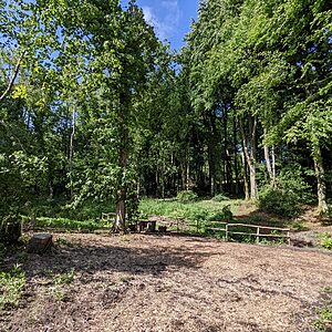 Pitch 9 - Cascade | Wytch Wood Camping & Glamping | Somerset