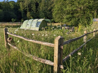 Orchard Bank | Wytch Wood camping and glamping | Somerset
