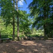 Pheasant Fold | Wytch Wood Camping & Glamping | Somerset