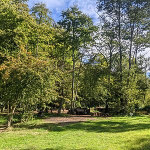 Pitch 5 - Spalted Beech | Wytch Wood Camping & Glamping | Somerset