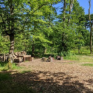 Pitch 5 - Spalted Beech | Wytch Wood Camping & Glamping | Somerset