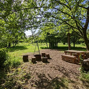 Pitch 5 - Spalted Beech | Wytch Wood Camping & Glamping | Somerset