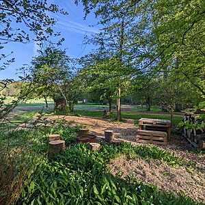 Pitch 5 - Spalted Beech | Wytch Wood Camping & Glamping | Somerset