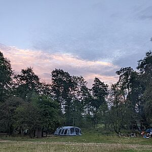 Pitch 5 - Spalted Beech | Wytch Wood Camping & Glamping | Somerset