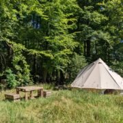 Toby's Double | Wytch Wood Camping & Glamping | Somerset