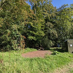 Toby's Double | Wytch Wood Camping & Glamping | Somerset