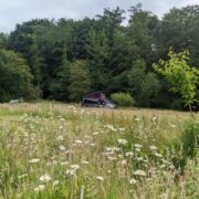 Toby's Double | Wytch Wood Camping & Glamping | Somerset
