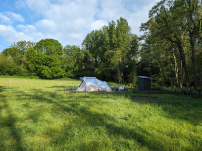 Pony Paddock | Wytch Wood Camping & Glamping | SomersetPony Paddock | Wytch Wood Camping & Glamping | SomersetPony Paddock | Wytch Wood Camping & Glamping | Somerset