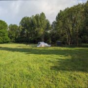 Pony Paddock | Wytch Wood Camping & Glamping | Somerset