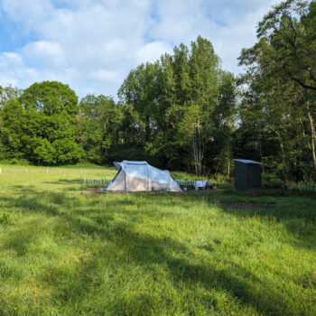 Pony Paddock | Wytch Wood Camping & Glamping | Somerset