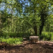 Waters Meet Camping Pitch | Wytch Wood Camping & Glamping | Somerset