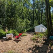 Pitches 16, 17, & 18 – Hidden Dell pitch. | Wytch Wood Camping & Glamping | Somerset