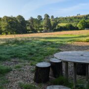 Pitch 13 – Pony Paddock seating | Wytch Wood Camping & Glamping | Somerset