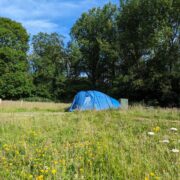 Forester's Gate Camping Pitch | Wytch Wood Camping & Glamping | Somerset