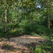 Pitches 16, 17, & 18 – Hidden Dell pitch2 | Wytch Wood Camping & Glamping | Somerset