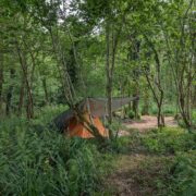 Pitches 16, 17, & 18 – Hidden Dell small tent | Wytch Wood Camping & Glamping | Somerset
