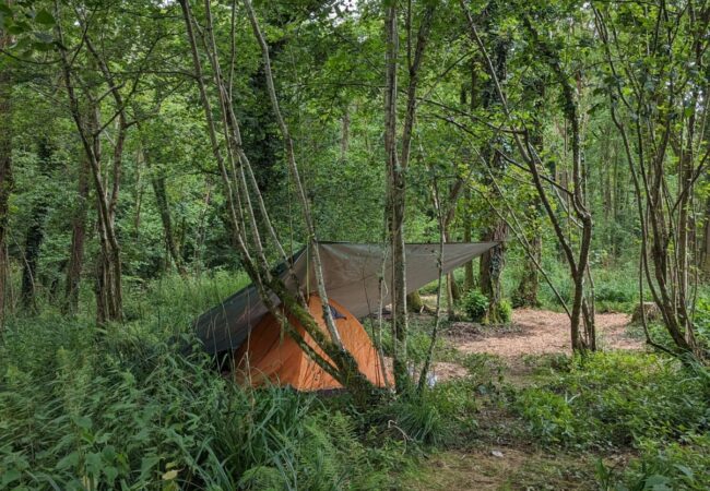 Pitches 16, 17, & 18 – Hidden Dell small tent | Wytch Wood Camping & Glamping | Somerset