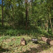 Pitches 16, 17, & 18 – Hidden Dell seating | Wytch Wood Camping & Glamping | Somerset