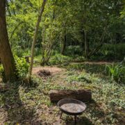 Pitches 16, 17, & 18 – Hidden Dell firepit | Wytch Wood Camping & Glamping | Somerset