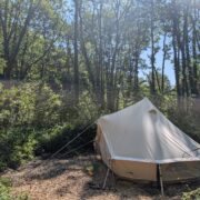 Pitches 16, 17, & 18 – Hidden Dell | Wytch Wood Camping & Glamping | Somerset