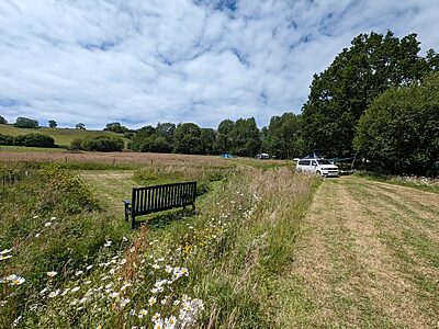 Wytch Wood Camping & Glamping | Somerset
