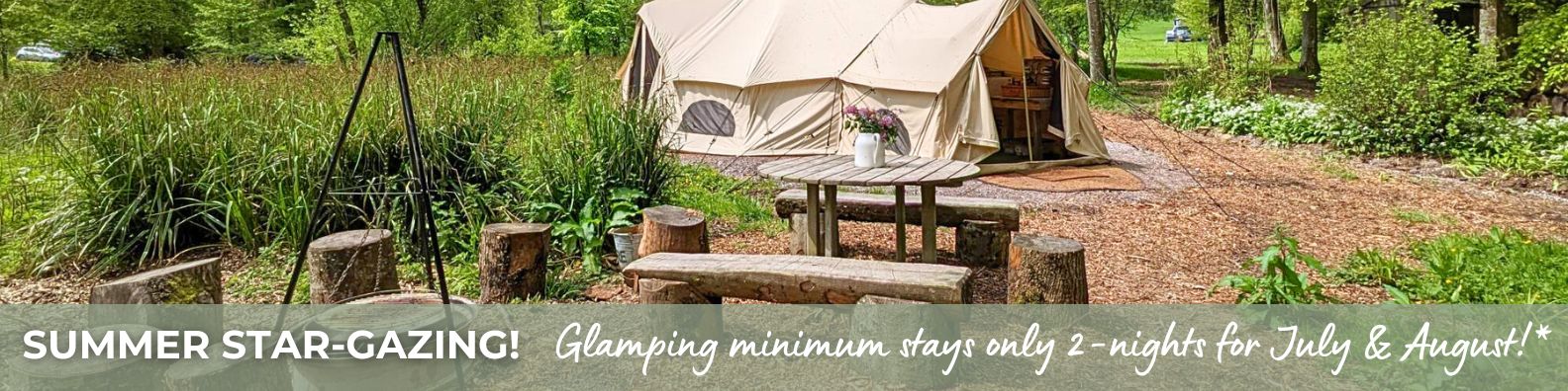 Wytch Wood Camping and Glamping | Somerset | Glamping minimum stays only 2 nights for July & August!