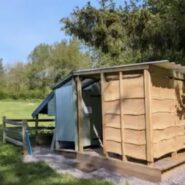 Wytch Wood Camping & Glamping | Somerset