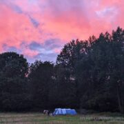 Pitch 14 – Forester’s Gate sunset | Wytch Wood Camping & Glamping | Somerset