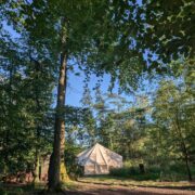 Birdsong Exterior | Wytch Wood Camping and Glamping | Somerset