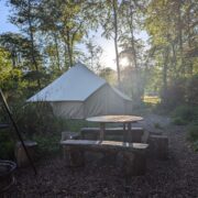 Birdsong | Wytch Wood Camping and Glamping | Somerset