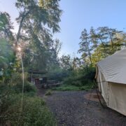 Birdsong | Wytch Wood Camping and Glamping | Somerset