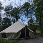 Birdsong | Wytch Wood Camping and Glamping | Somerset