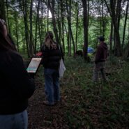 2024 Bat Talks | Wytch Wood Camping and Glamping | Somerset