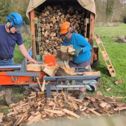 We put sustainability first at Wytch Wood, splitting and stacking the logs for future firewood use.