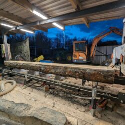 We put sustainability first at Wytch Wood, splitting and stacking the logs for future firewood use.