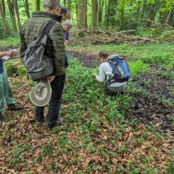 Wytch Wood hosted a survey by the Somerset Rare Plants Group.