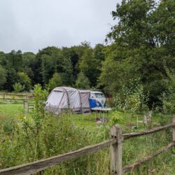 August arrived at Wytch Wood—the busiest month of the year as the school holidays were in full swing. The campsite was buzzing with activity, with families making the most of the summer break.August arrived at Wytch Wood—the busiest month of the year as the school holidays were in full swing. The campsite was buzzing with activity, with families making the most of the summer break.