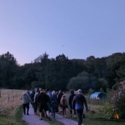 August saw the second bat walk at Wytch Wood, drawing an even bigger crowd—over 30 guests came to learn about and experience the magic of these nocturnal creatures.