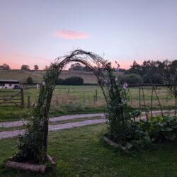 As summer peaked at Wytch Wood, the landscape began to shift, with the lush greens of spring and early summer giving way to golden harvest hues. As summer peaked, the landscape began to shift, with the lush greens of spring and early summer giving way to golden harvest hues.