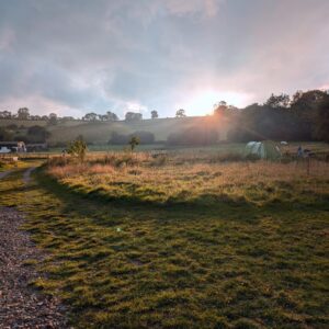 As summer peaked at Wytch Wood, the landscape began to shift, with the lush greens of spring and early summer giving way to golden harvest hues. As summer peaked, the landscape began to shift, with the lush greens of spring and early summer giving way to golden harvest hues.