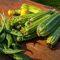 We took a final harvest from the garden at Wytch Wood, gathering the last courgettes and beans.