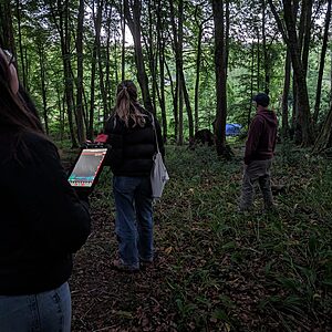 Bat walks at Wytch Wood