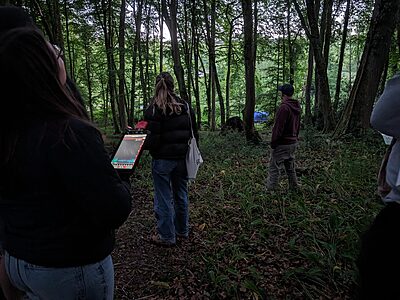 Bat walks at Wytch Wood